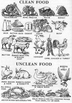 Clean and unclean food